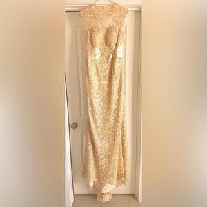 Elegant Mother of the Bride  Champagne Lace Dress - Never Worn
